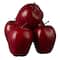8 Packs: 5 ct. (40 total) Red Delicious Apples by Ashland®